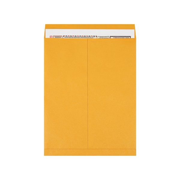 Bsc Preferred 18 x 23'' Kraft Jumbo Envelopes, 100PK BUY00019061 - main